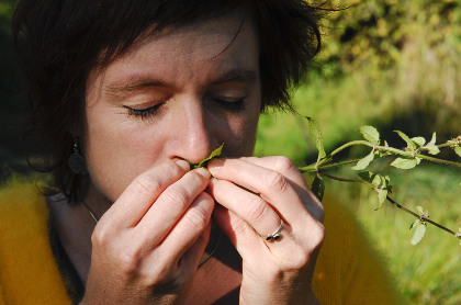 Aurélie Dorzée