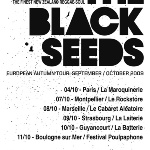 Black Seeds