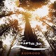 Redwood - 4th Album