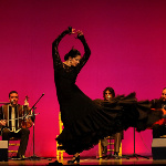 Orquesta Chekara Flamenca