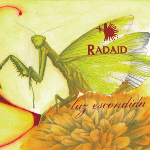 Radaid