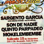 Mestizao Festival 2007