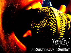ACOUSTIQUEMENT CORRECT / YOPLA! / Acoustically Correct Logo