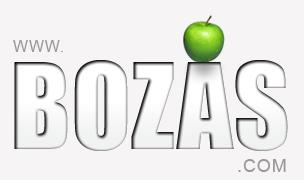 Bozas International Ltd Logo