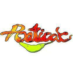 Poeticat Logo
