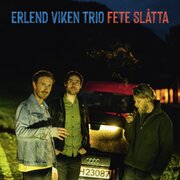 Erlend Viken Trio