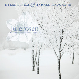 Julerosen - Christrose - Helene Blum & Harald Haugaard