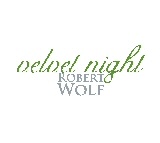 Velvet Night - Robert Wolf