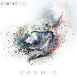 COSMIC cover art