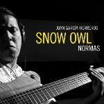 Snow Owl