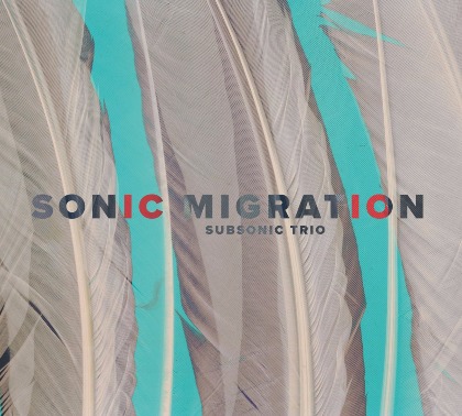 Sonic Migration - Subsonic Trio
