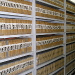 Tapes among which there are copies of decelith plates (Phonogram Archive of Institute of Art of the Polish Academy of Sciences)