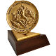 Bronze Medal - Global Music Award