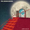 Full Moon Cinema by Amitai Mann