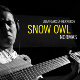 Snow Owl CD cover "Normas"