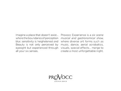 Provocc Experience