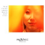 Provocc Book 