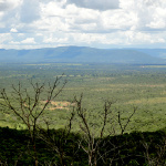 The Brazilian Central Plateau