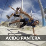 Acido Pantera