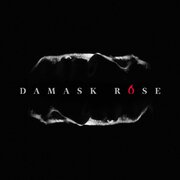 Damask Rose