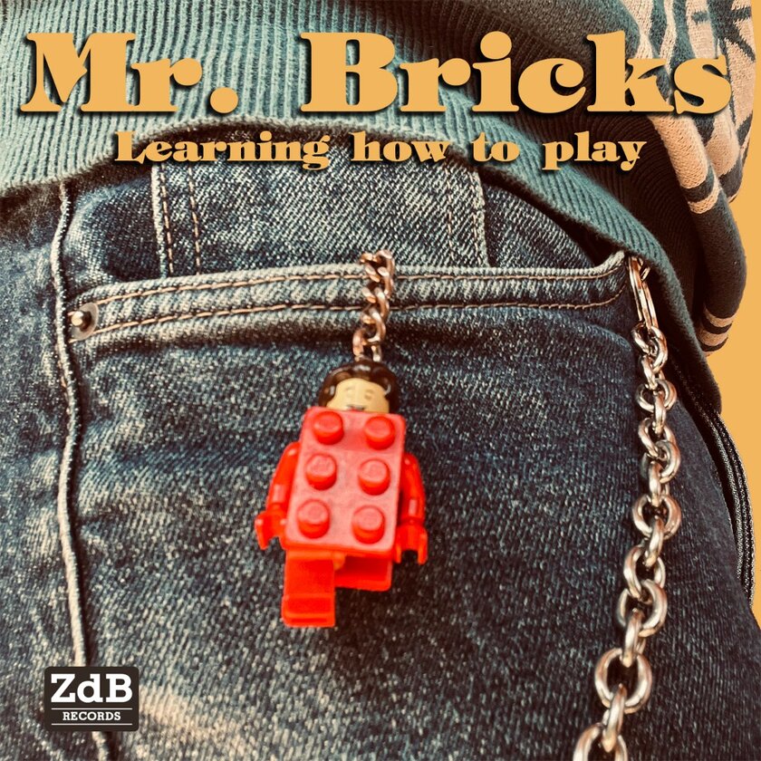 Mr. Bricks