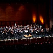 Orquestra e Banda Sinfónica de Jovens de Santa Maria da Feira