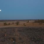 Tamikrest the desert