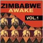 Zimbabwe Awake