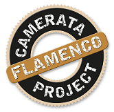 Asociación Camerata Flamenco Project Logo