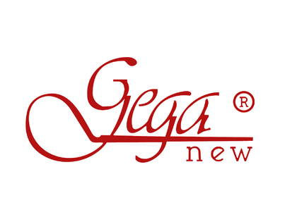 Gega New Ltd. Logo