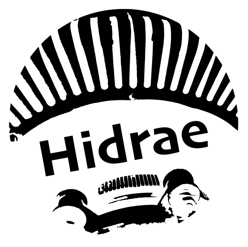Hidrae Logo