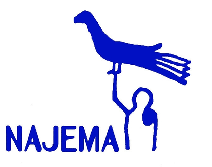 Najema Music Logo