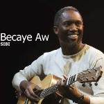 A modern album in tradition and inspiration from Senegal and Mauritania developed by his own guitar style 