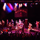 Bellowhead live pic