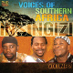 Voices of Southern Africa, volume 2