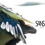 SANS Live CD cover