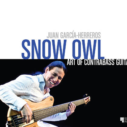 Art of Contrabass Guitar - Snow Owl